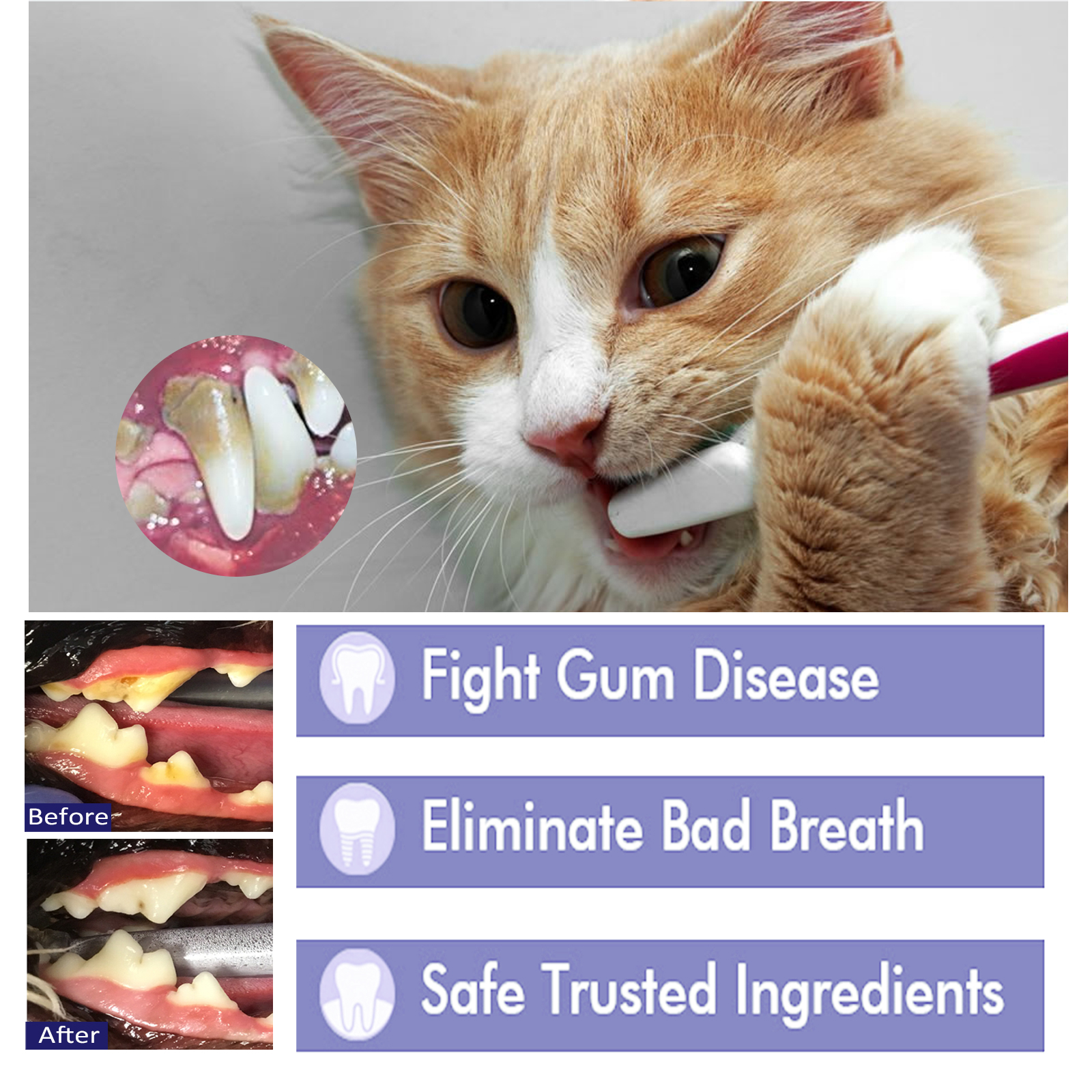 Pet Toothpaste Reduce Tartar R - Teeth Whitening Gum ulasan dan harga