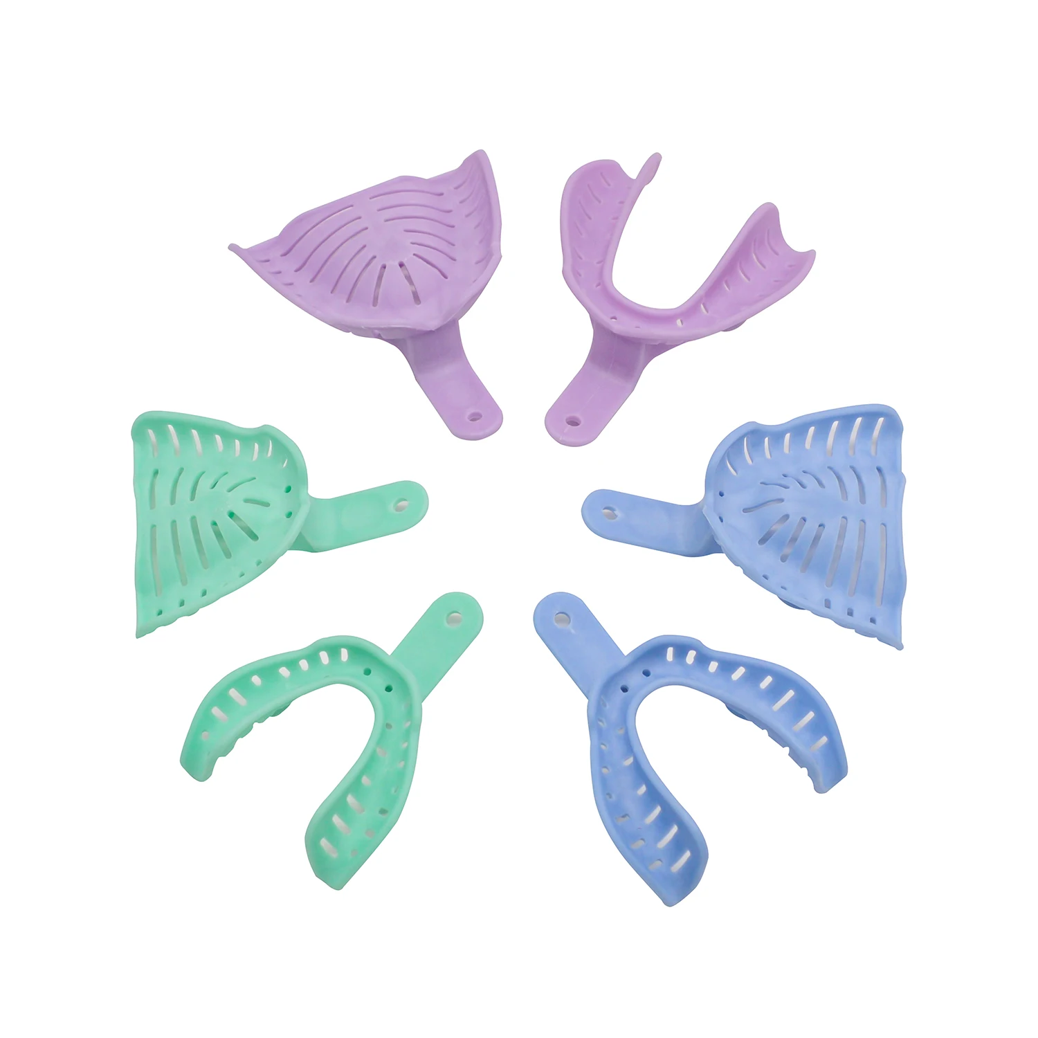 ‌6pcs Dental Lab Impression Tr - Teeth Whitening Trays ulasan dan harga